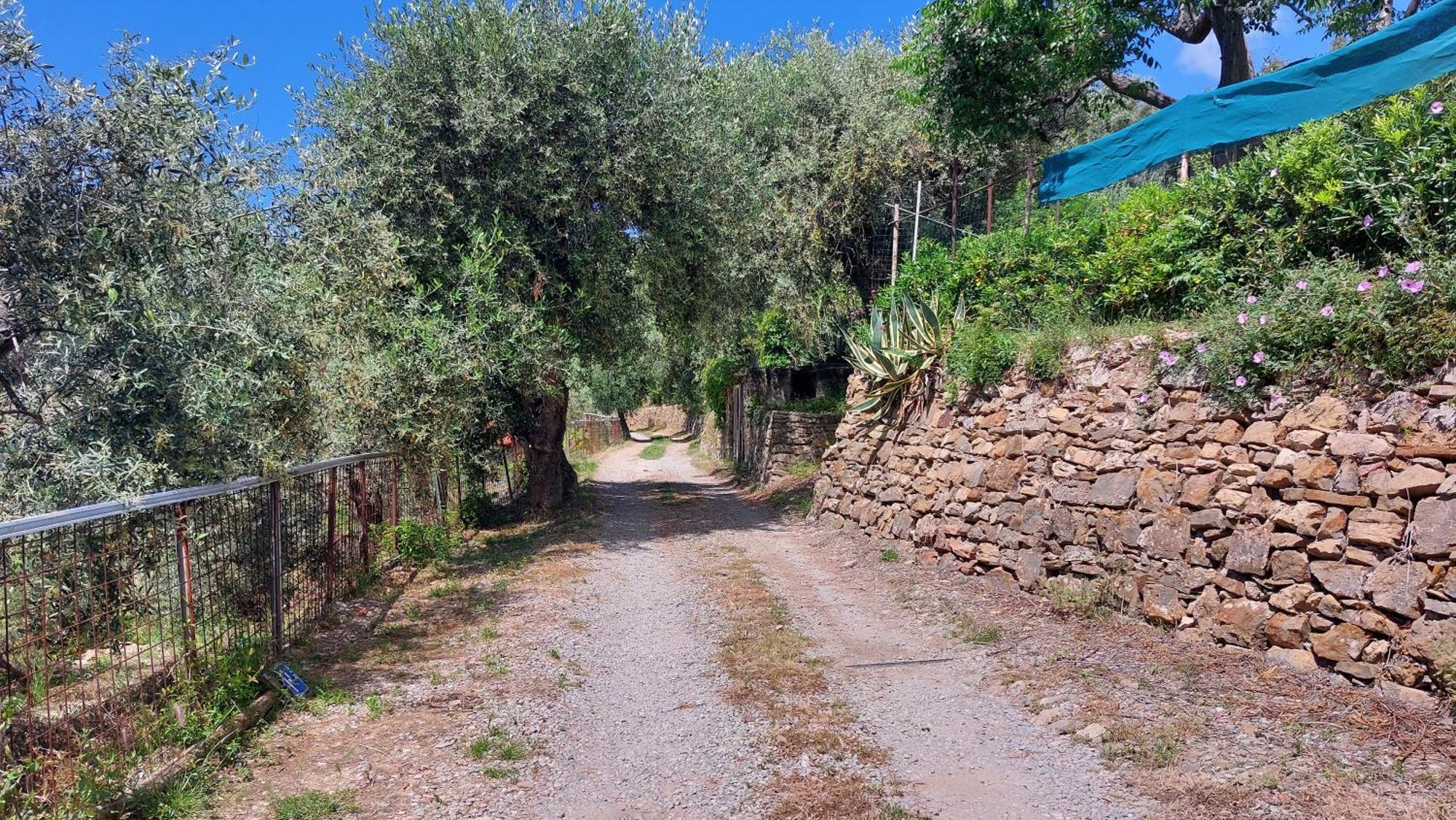 Il Nido Del Viaggiatore Vallebona Екстер'єр фото