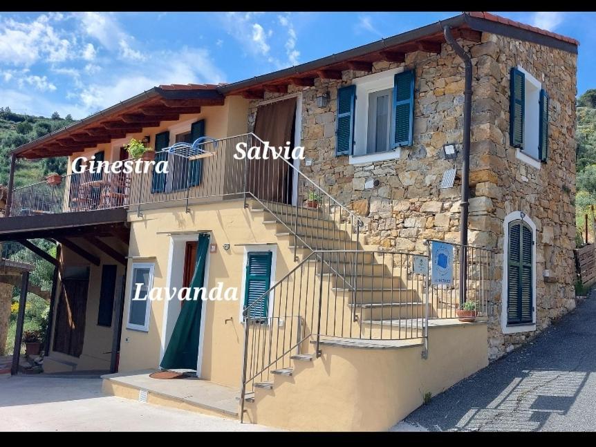 Il Nido Del Viaggiatore Vallebona Екстер'єр фото